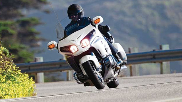 Gold Wing Gold Wing