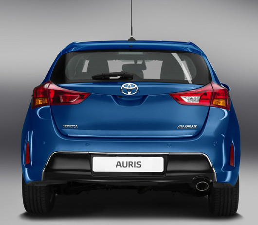 auris220082012.jpg