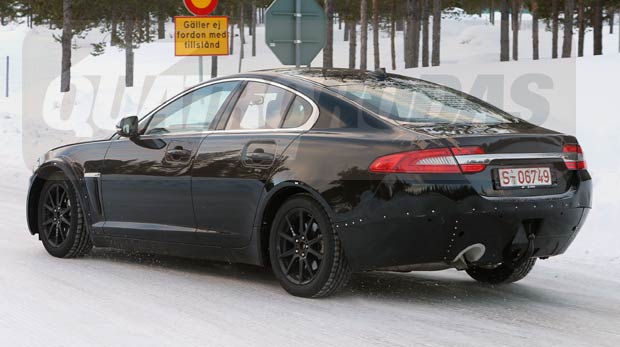 190313_jaguar_02.jpg 190313_jaguar_02.jpg