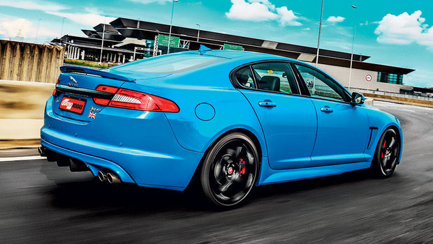 667-jaguar-08.jpeg 667-jaguar-08.jpeg