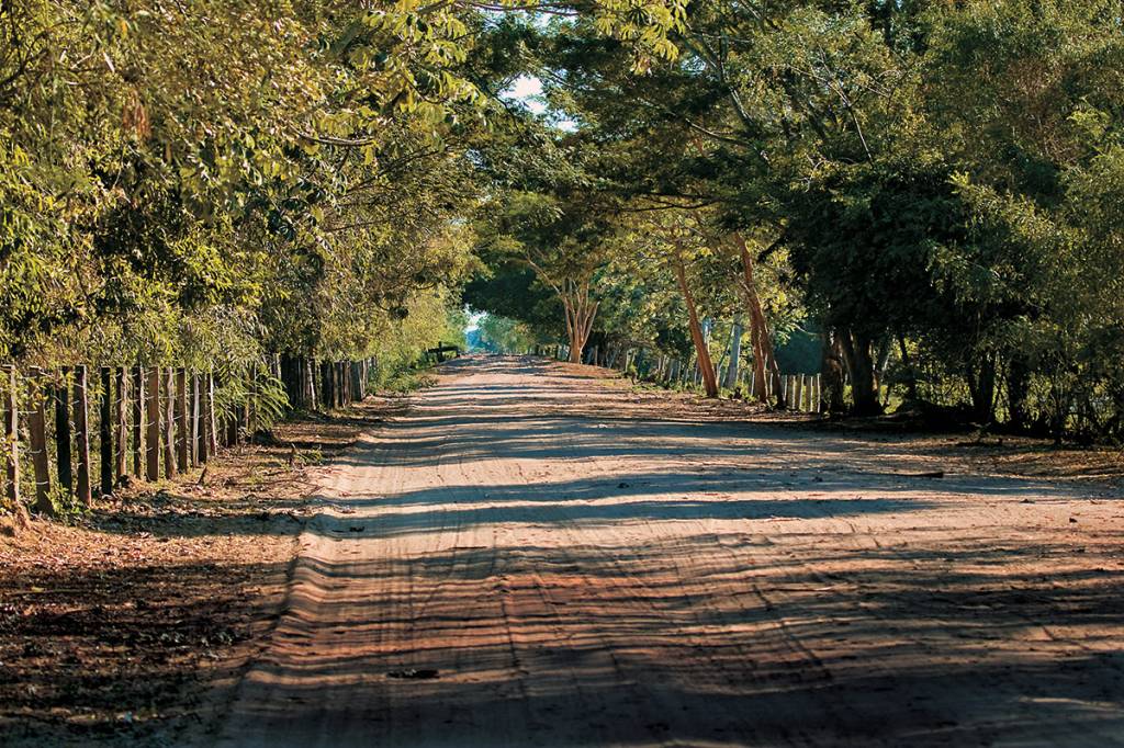 Estrada Parque do Pantanal