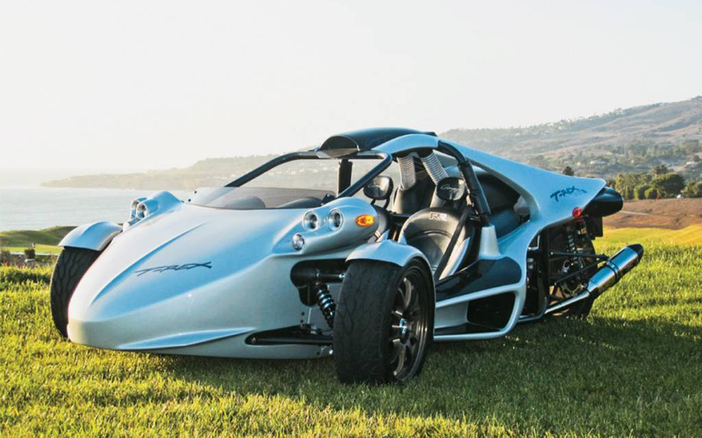 Campagna T-Rex