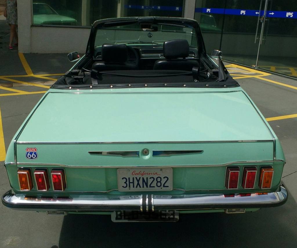 Del Rey Mustang Del Rey Mustang