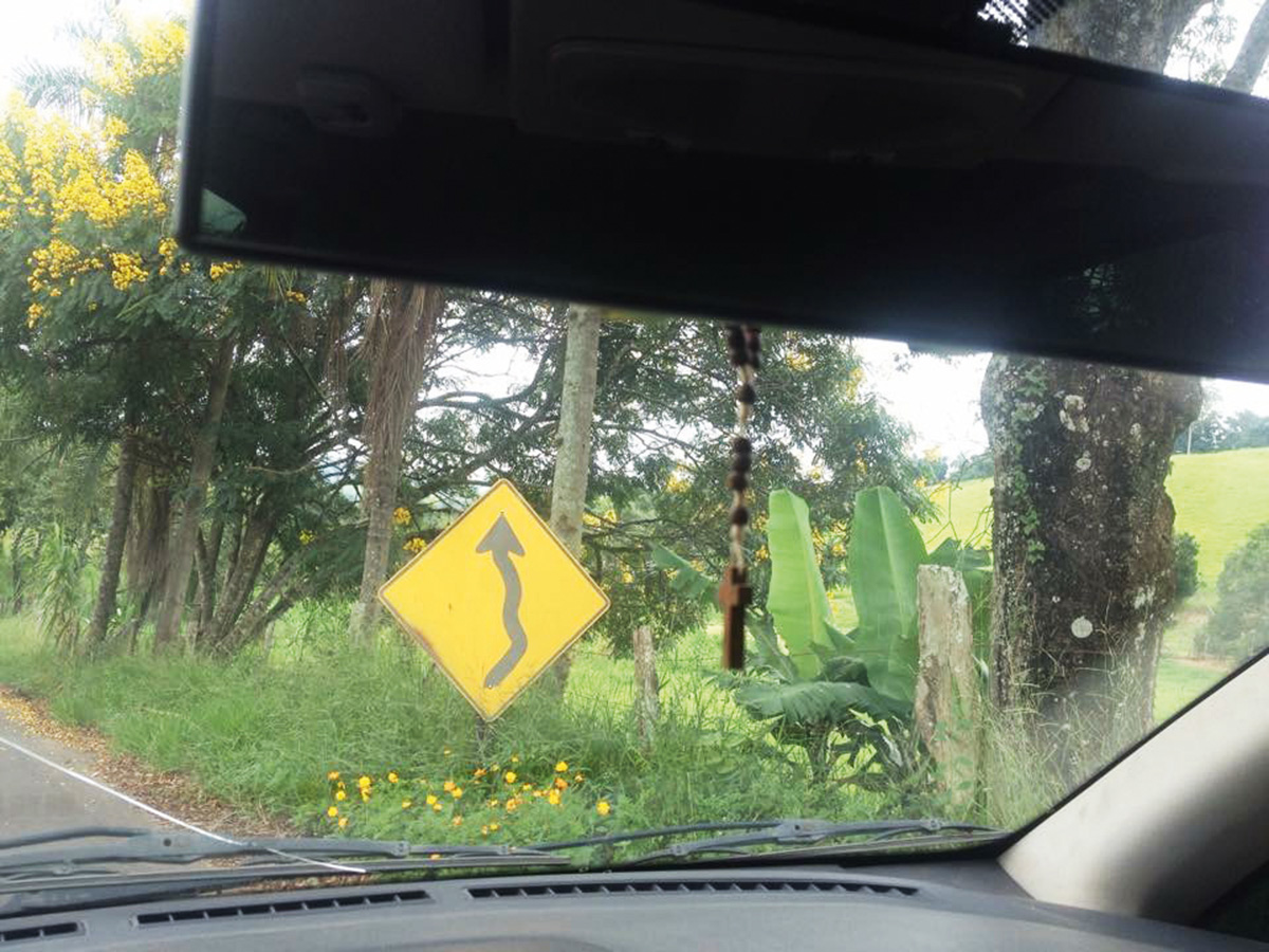 placa bizarra