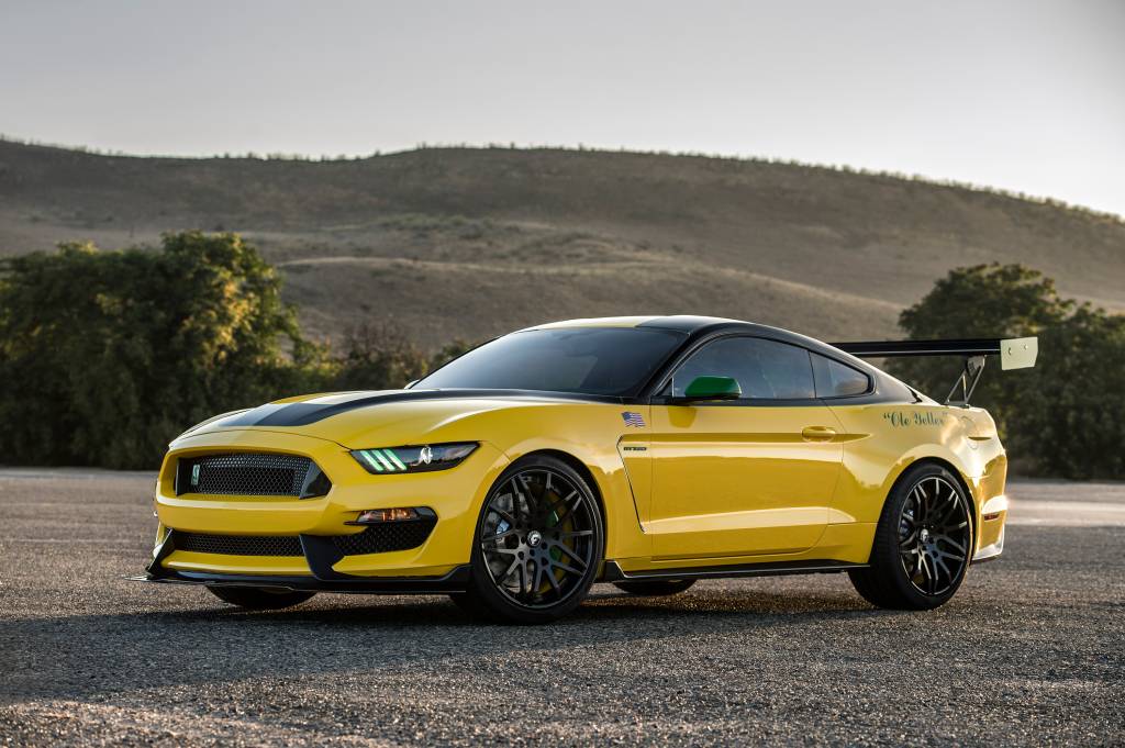 Mustang GT350 Ole Yeller