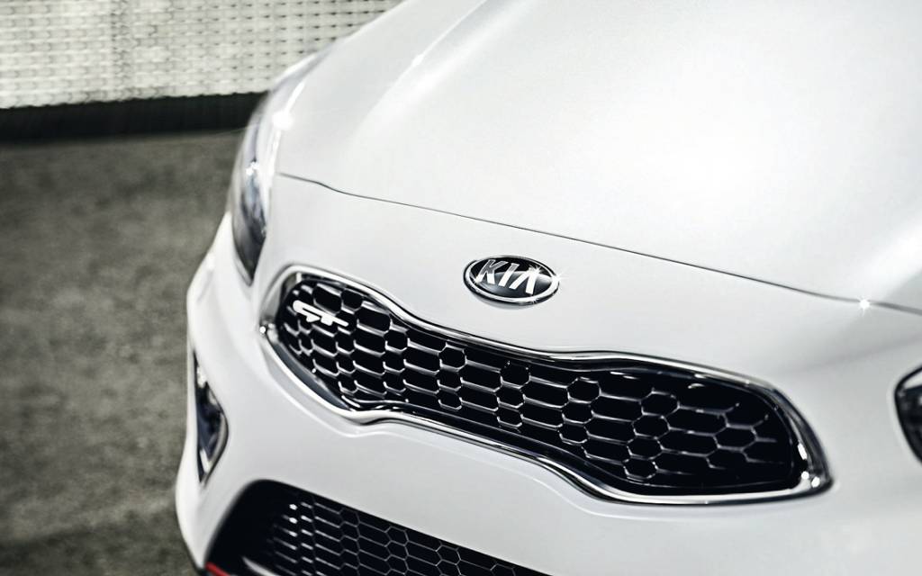 Kia Tiger Nose