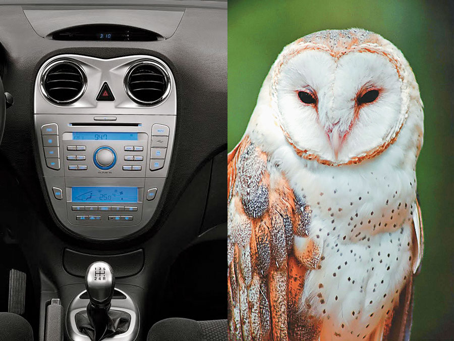 JAC J6 e coruja JAC J6 e coruja