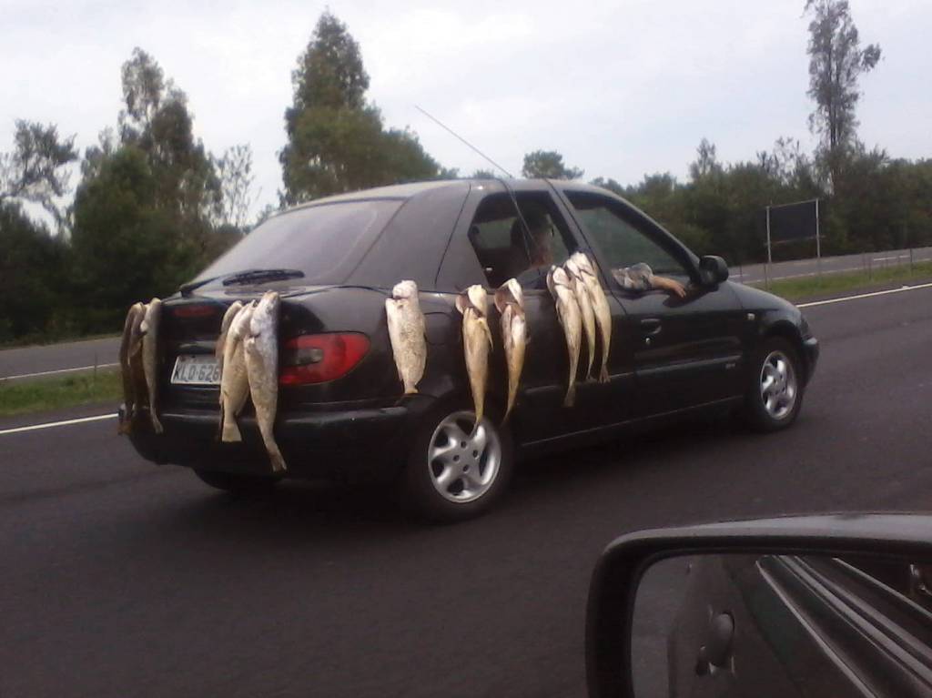 A solução para você não deixar aquele cheiro desagradável no carro depois de uma pescaria