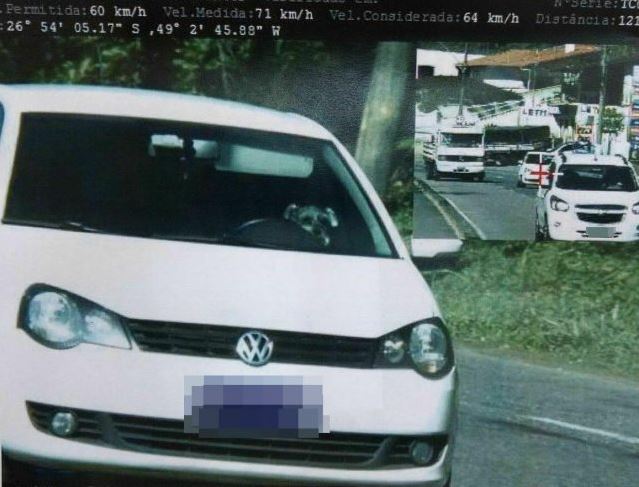 Você pode ter até 40% de desconto em multas, mas não receberá elas em casa