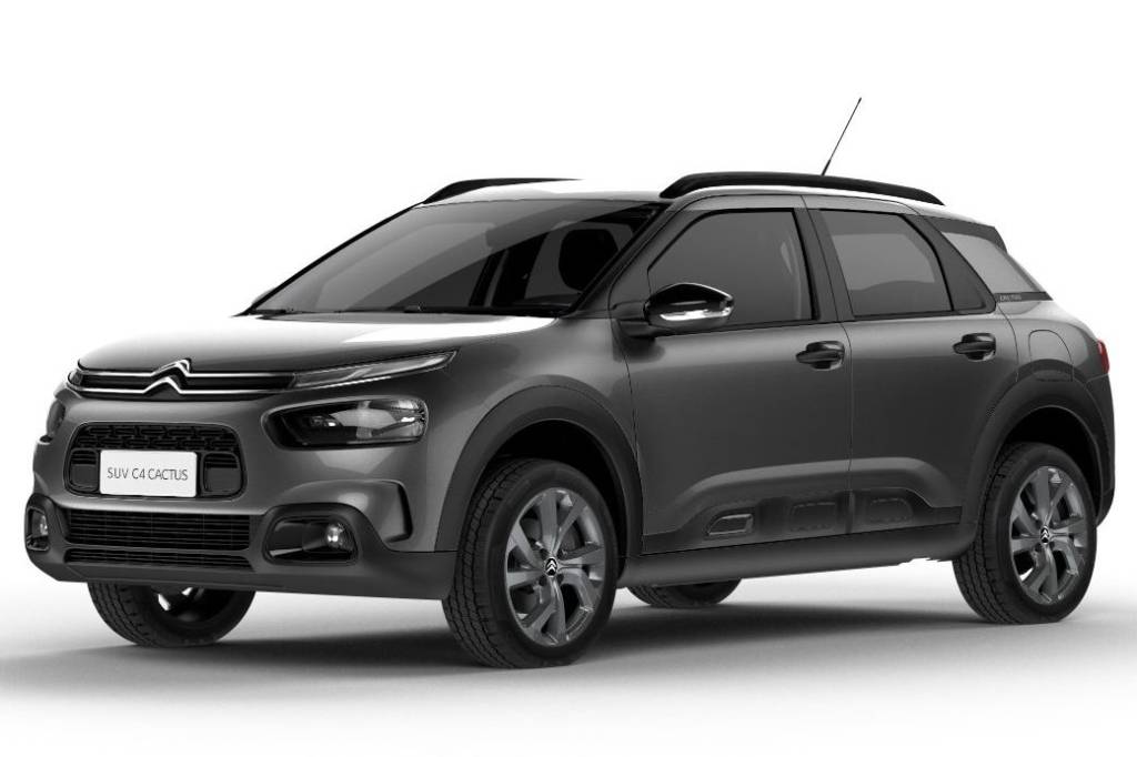 C4 Cactus Feel Business 2020 PcD C4 Cactus Feel Business 2020 PcD
