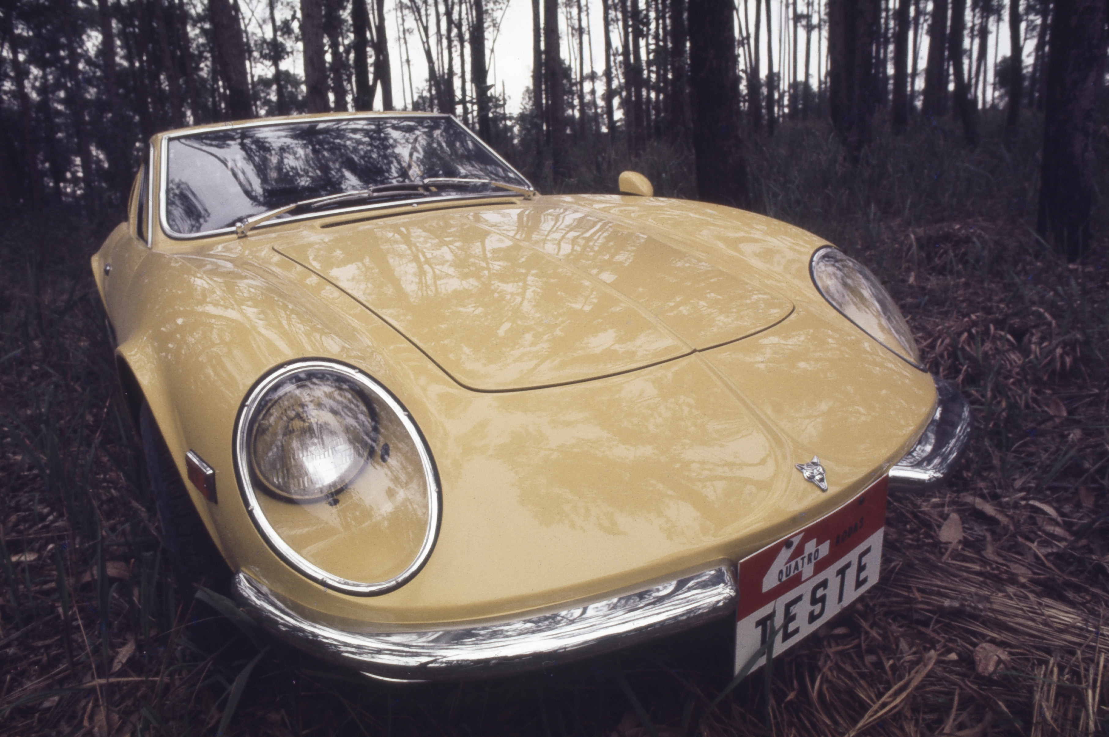 Puma-GTE-modelo-1970..jpg