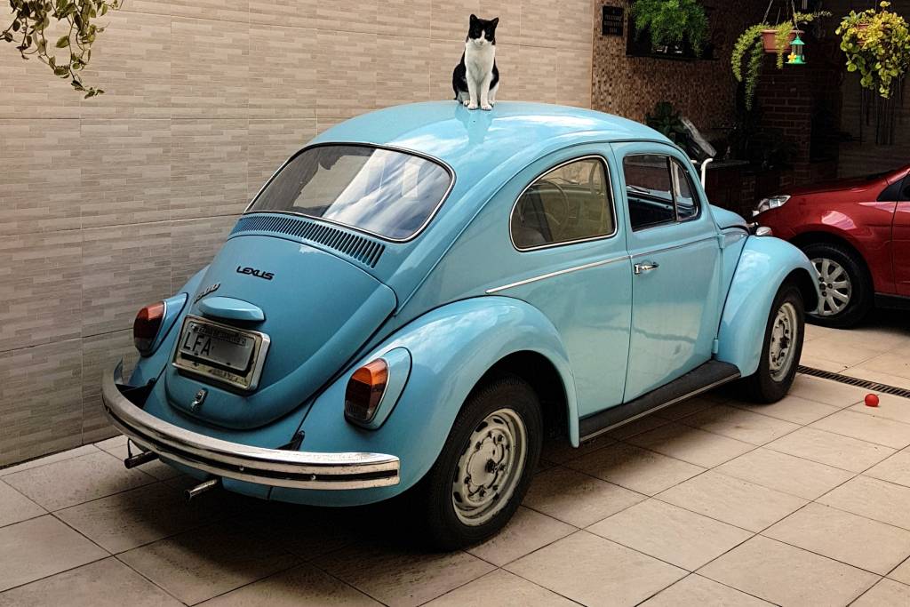 VW Fusca 1300 Standard 1973