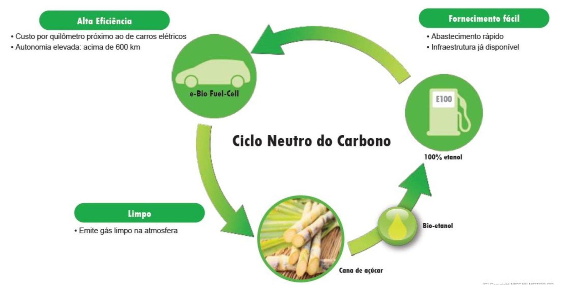 sistema do que mostra o ciclo do carbono emitido pelo SOFC