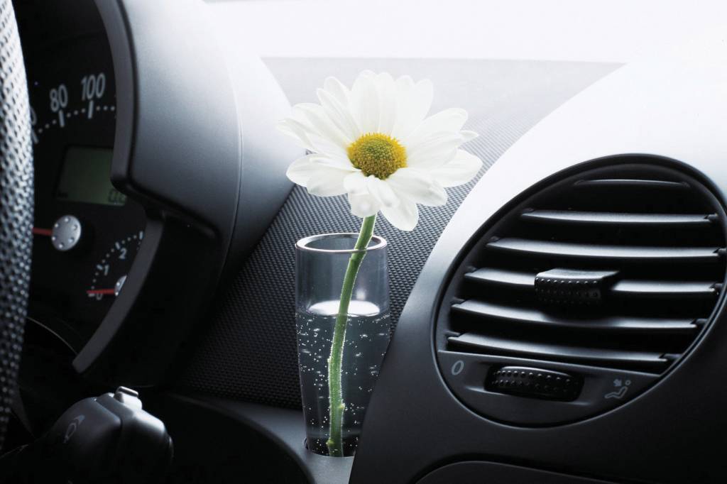 VW New Bettle 1997 com vaso de flor Vaso com flor no New Beetle