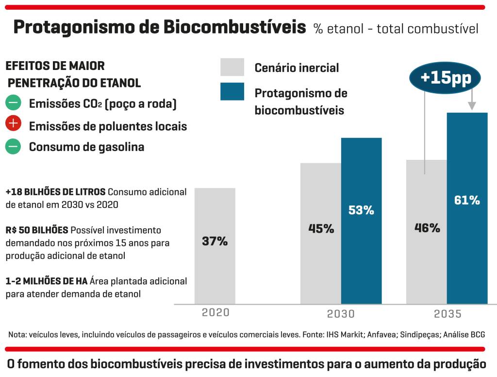 GRAFICO 3