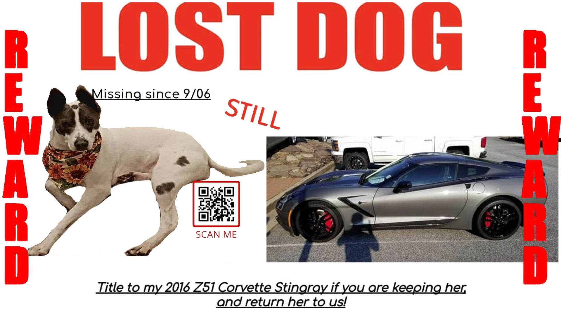 Casal oferece Corvette Stingray Z51 para quem entregar cachorro que fugiu
