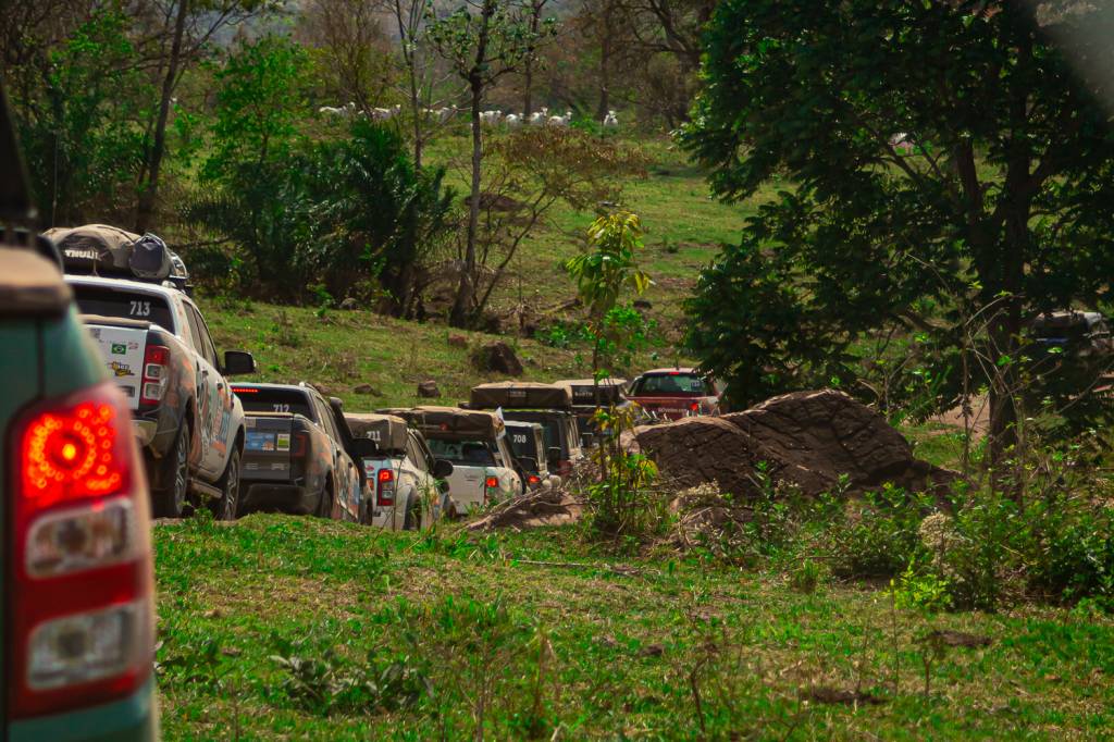 Expediçoes do Rally dos Sertoes a Cidade Zigurats-2 Em meio ao gado, a expedição vai embora de Zigurats