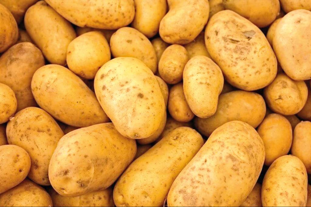 batatas autralianas