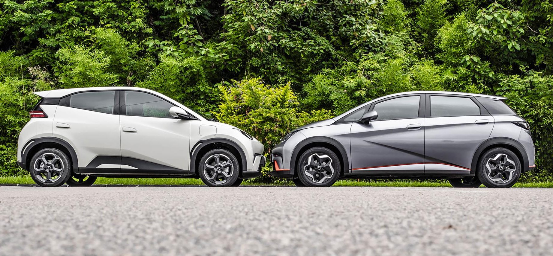 BYD Dolphin e BYD Dolphin Mini