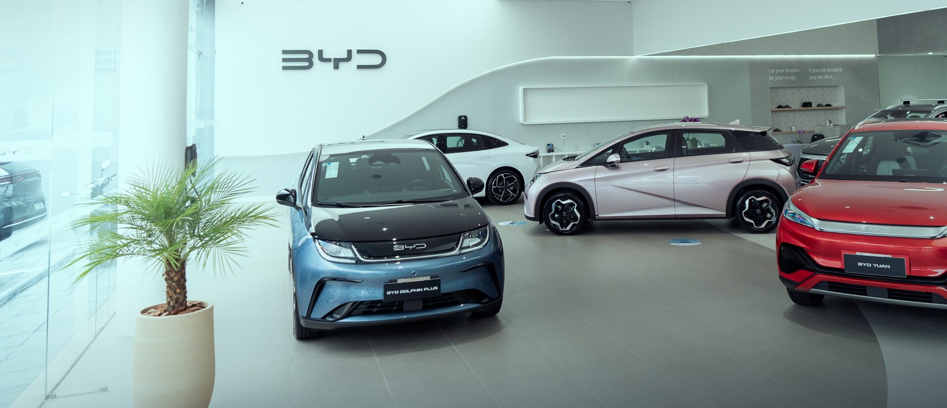 Showroom BYD Osten