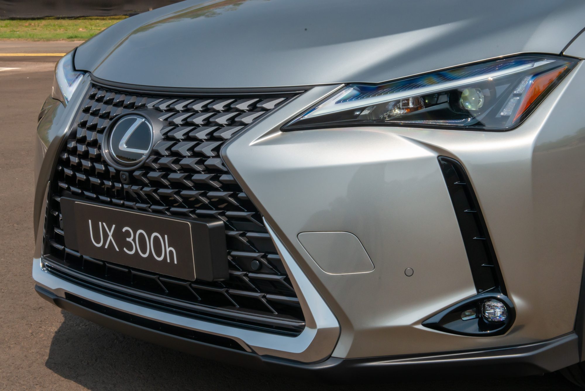 Lexus UX300H