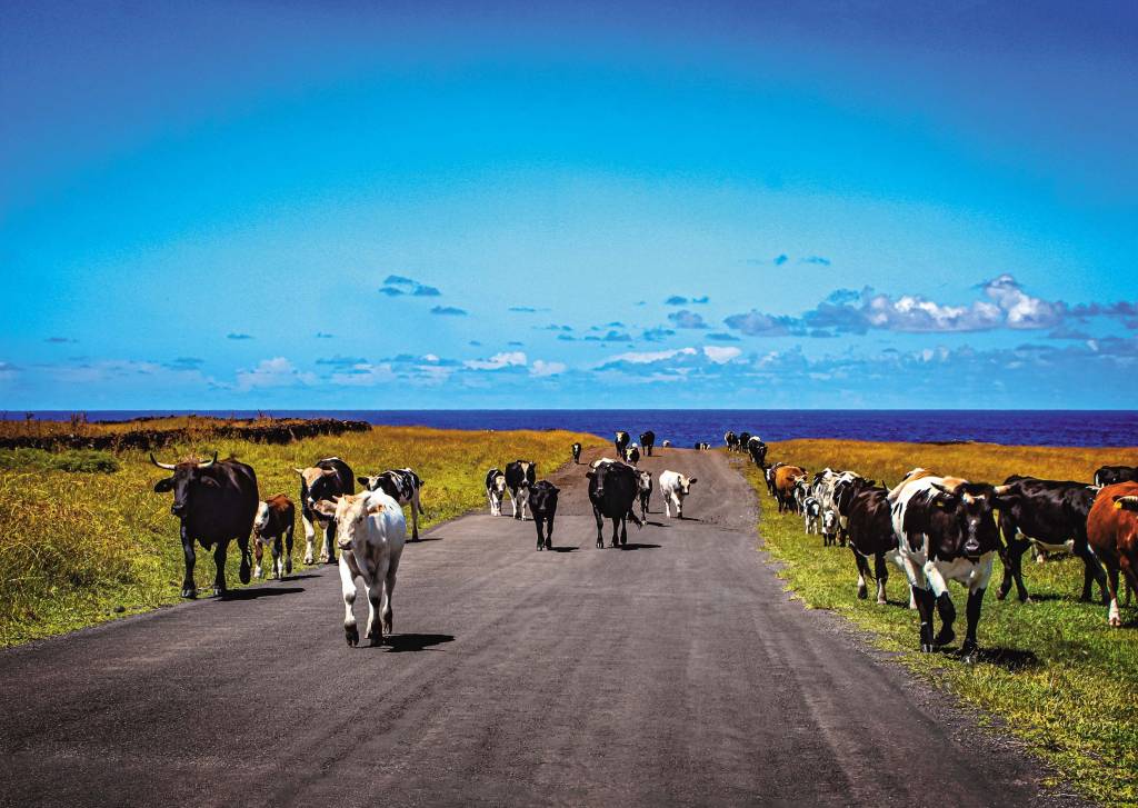 Ilha de Pascoa Ilha de Pascoa
