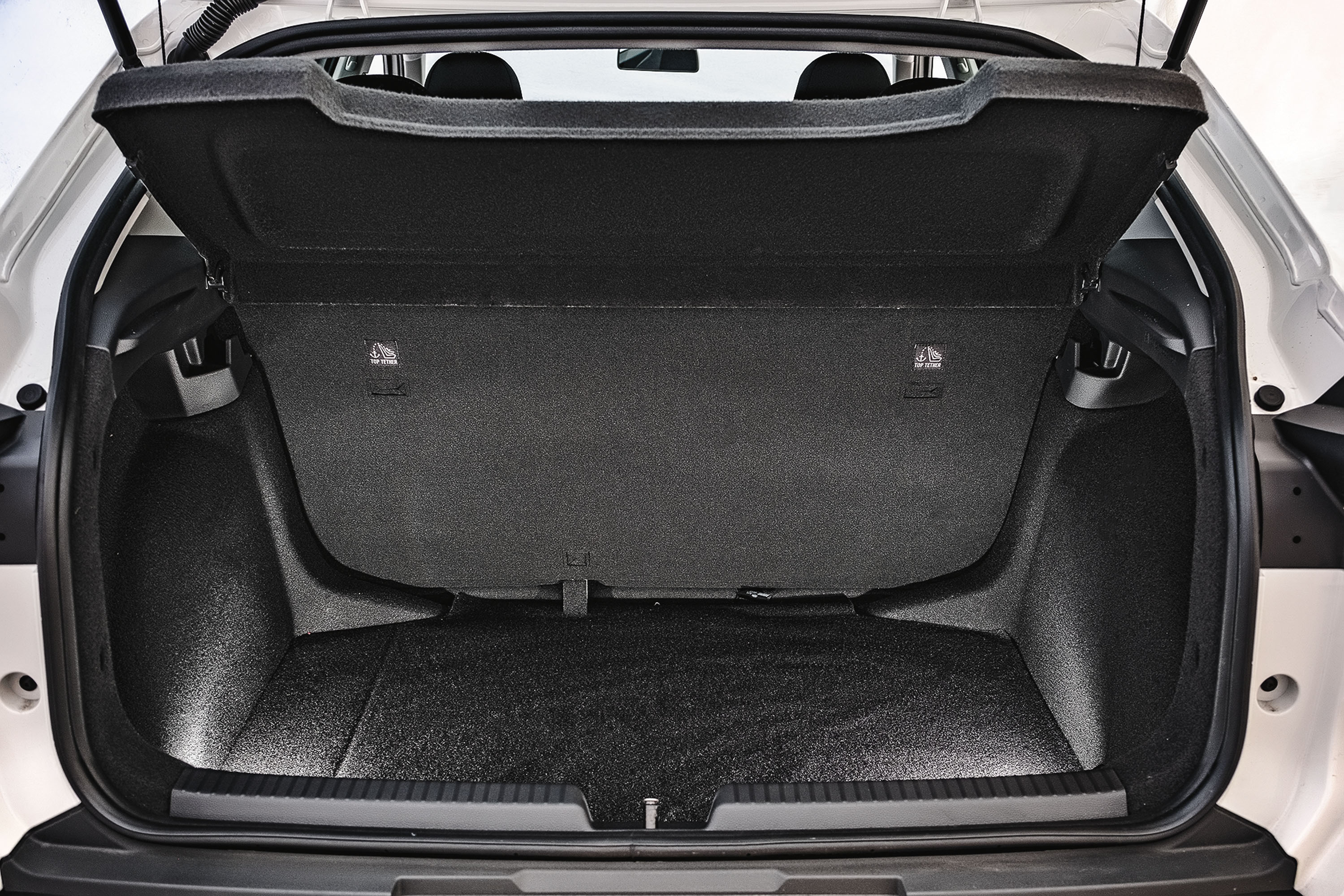 VW tera x FIAT pulse