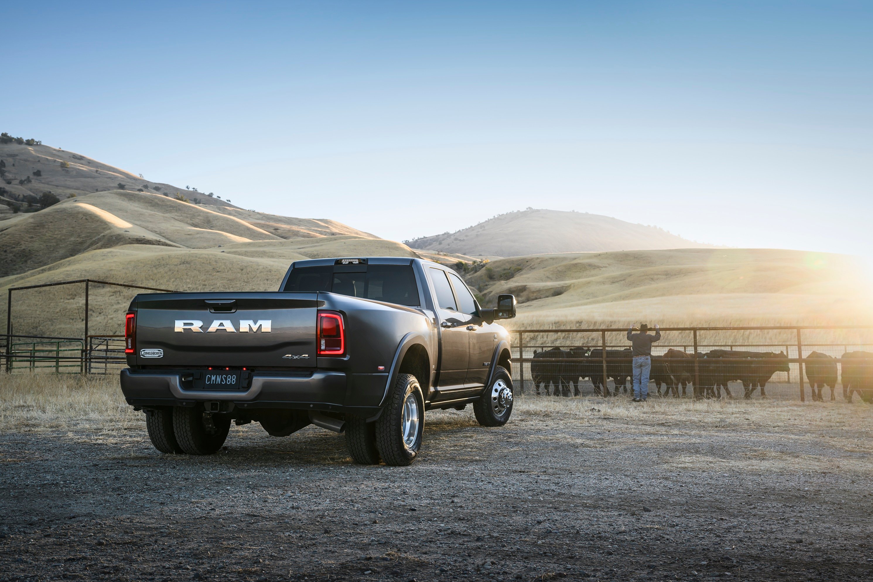 3500 Limited Longhorn Mega Cab Dually
