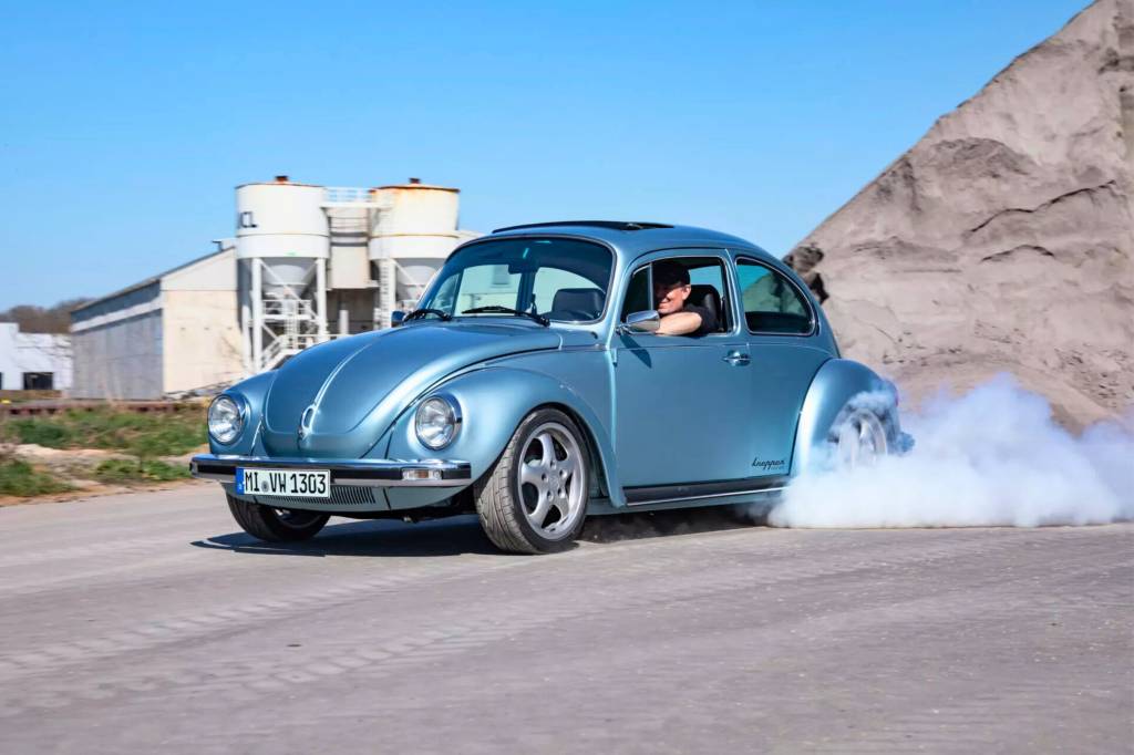 Fusca Beetle Kafer RSE Keeper (2)