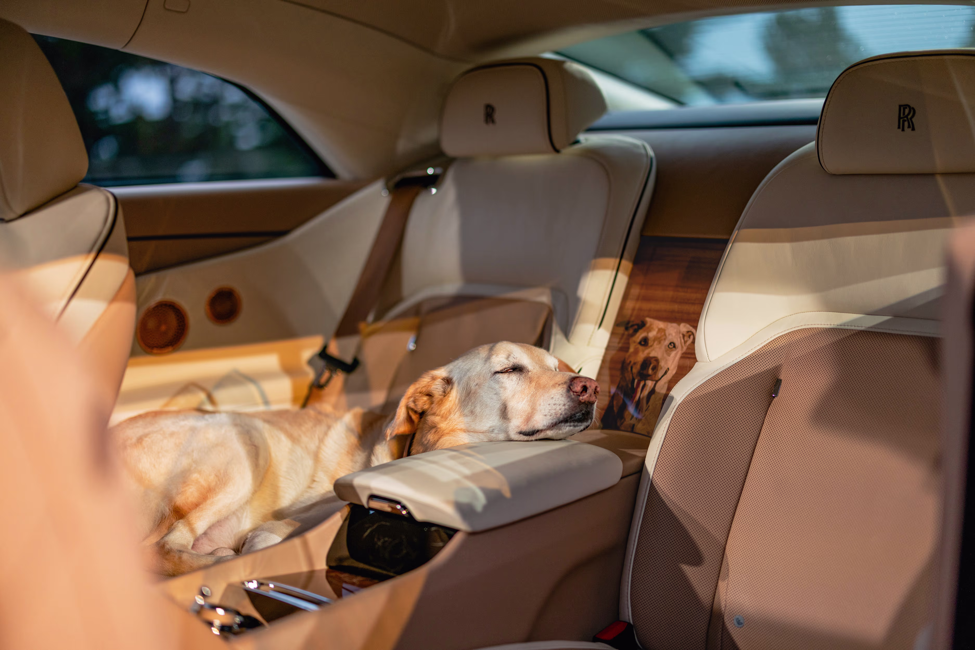 rolls-royce-spectre-bailey