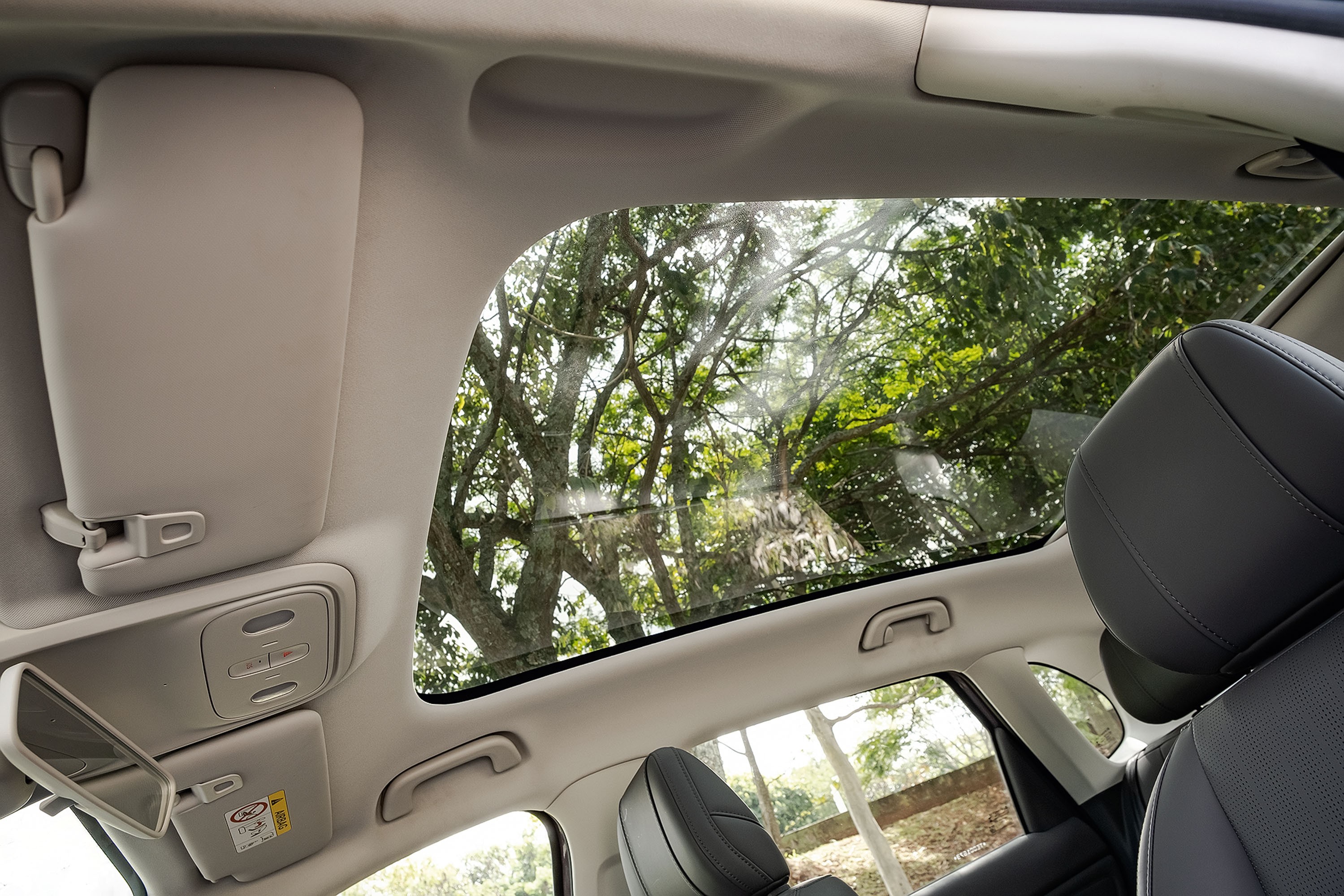 Interior de um carro com teto solar panorâmico, mostrando o para-sol esquerdo abaixado e o direito com espelho. Pelo teto e janelas laterais, vê-se a copa de árvores com folhas verdes e galhos secos, sob luz solar. O encosto de cabeça de um banco de couro preto aparece à direita