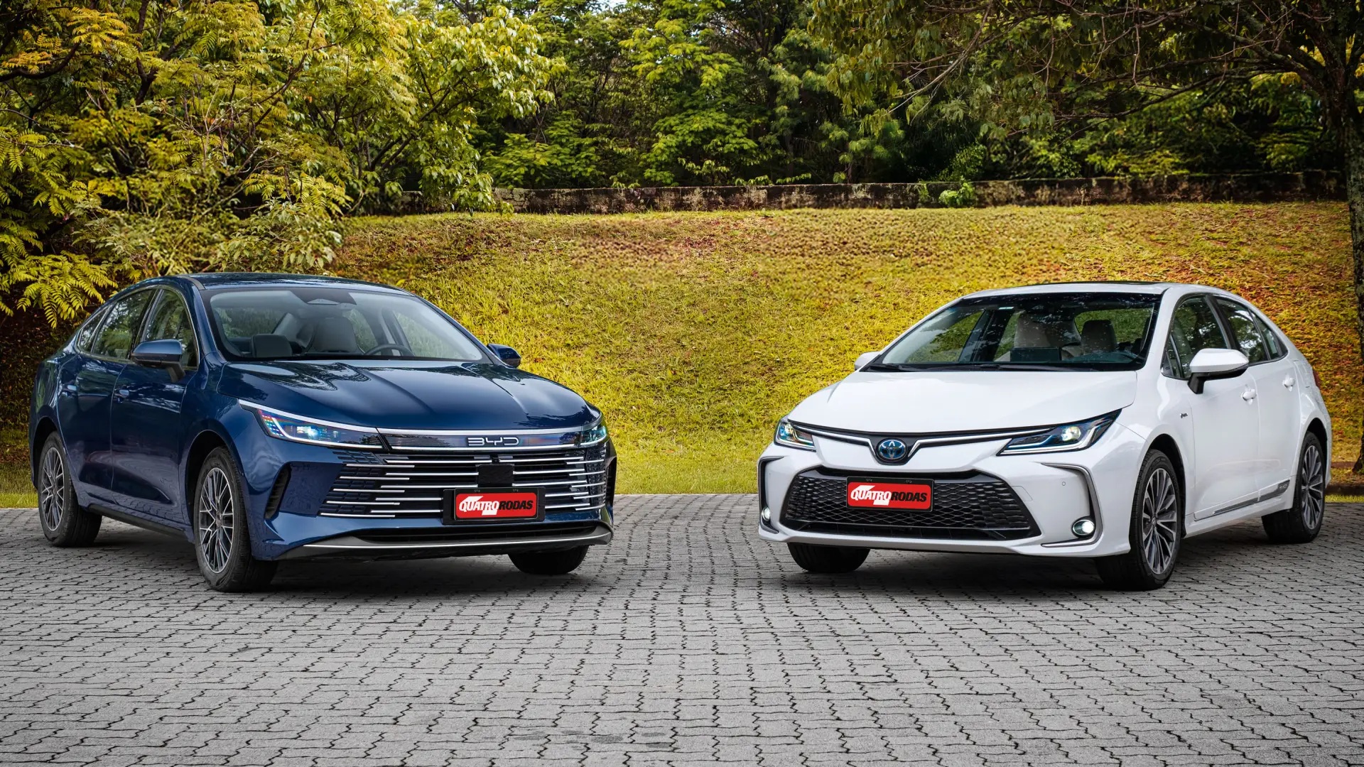 BYD King vende mais que o Toyota Corolla em agosto